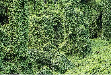 《寂静岭2：重制版》首次通关需16小时 电玩通35分评价